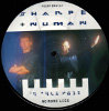 Click To Enlarge Gary Numan Bill Sharpe No More Lies 1988 UK